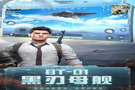 和平精英ios透视辅助网站（和平精英透视辅助器文件ios）